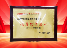 喜讯丨DB真人旗舰 DB数据获评2024~2025年度武汉市软件行业&ldquo;优秀企业&rdquo;、&ldquo;优秀工作者&rdquo;荣誉称号！